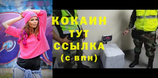 винт Новозыбков