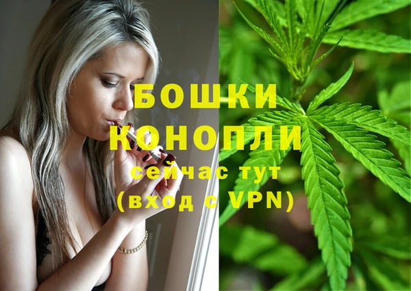 дживик Новокубанск