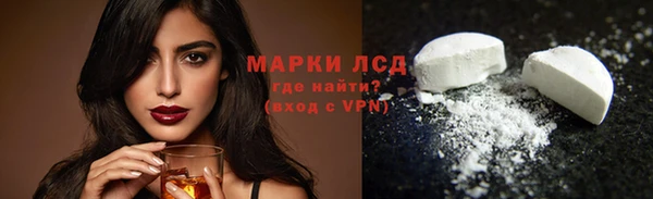 индика Карталы