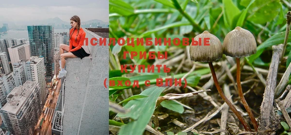 скорость mdpv Новодвинск