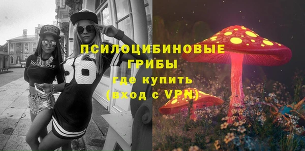винт Новозыбков