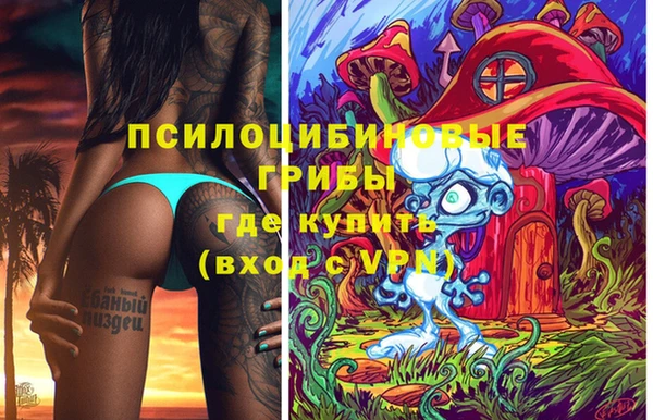 дживик Новокубанск